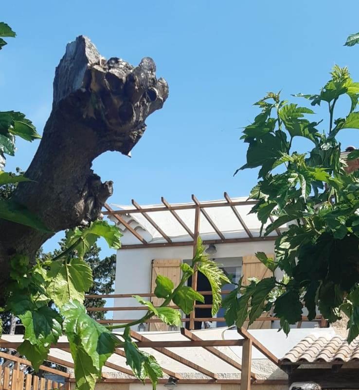 L'En Haut Aramon Екстериор снимка